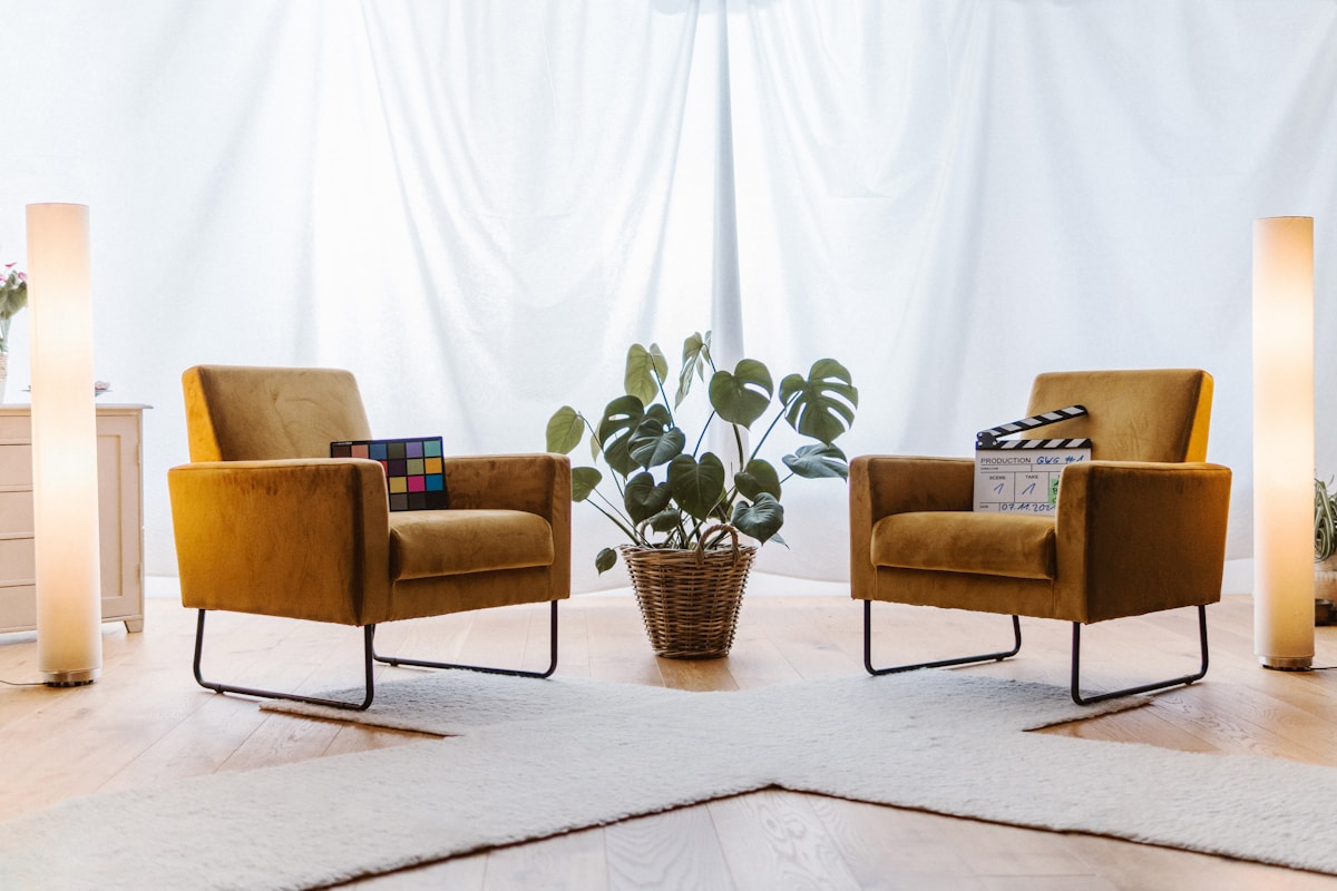 Comfortable therapy lounge room with chairs and plant